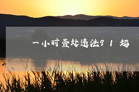 一小时查处违法91起 一小时查处违法91起