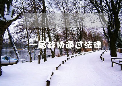 一届政协通过法律 一届政协通过法律