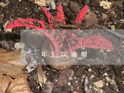 一年3次逾期 一年3次逾期