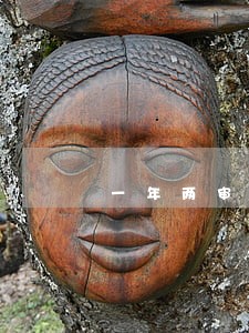 一年两审逾期5个月