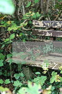 一年之内有四次信用卡逾期 一年之内有四次信用卡逾期