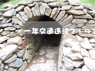 一年交通违法719宗 一年交通违法719宗