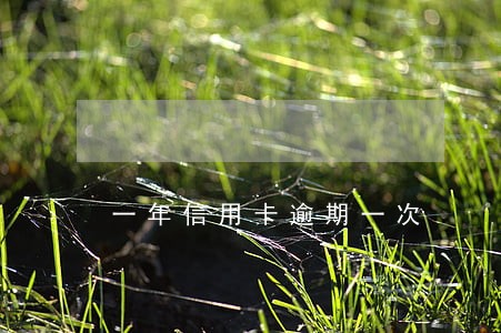 一年信用卡逾期一次