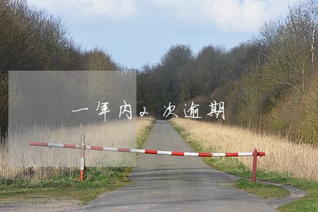 一年内2次逾期 一年内2次逾期