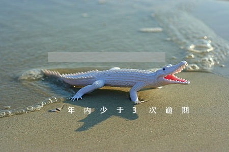 一年内少于3次逾期 一年内少于3次逾期
