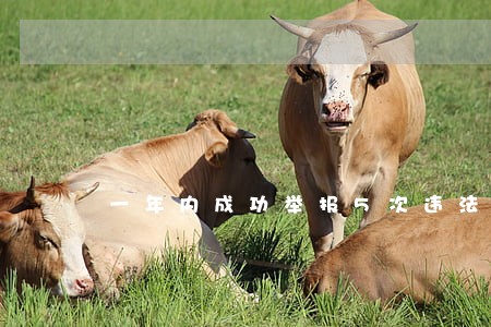 一年内成功举报5次违法行为 一年内成功举报5次违法行为