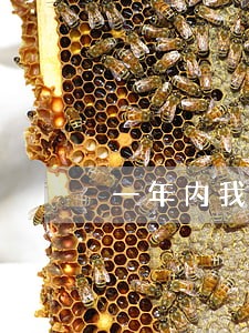 一年内我信用卡逾期2次 一年内我信用卡逾期2次