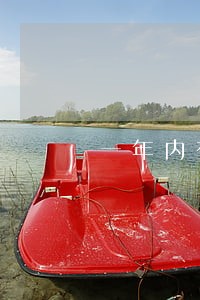 一年内有5个月处于逾期状态 一年内有5个月处于逾期状态