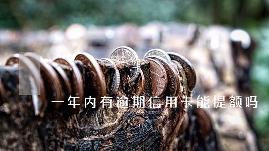 一年内有逾期信用卡能提额吗 一年内有逾期信用卡能提额吗