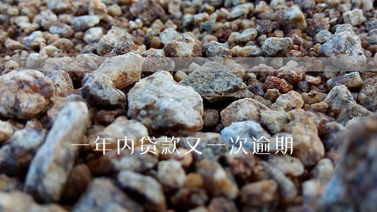 一年内贷款又一次逾期 一年内贷款又一次逾期