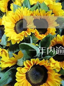 一年内逾期10次 一年内逾期10次