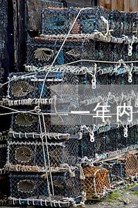 一年内逾期15次 一年内逾期15次