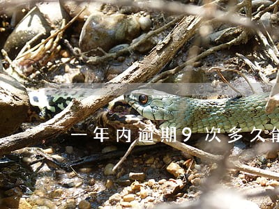 一年内逾期9次多久能消 一年内逾期9次多久能消