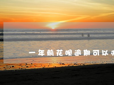 一年前花呗逾期可以办信用卡嘛 一年前花呗逾期可以办信用卡嘛