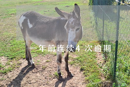 一年前连续4次逾期 一年前连续4次逾期