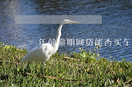 一年前逾期网贷能否买车 一年前逾期网贷能否买车