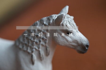 一年后法院未执行 一年后法院未执行