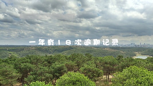 一年有18次逾期记录 一年有18次逾期记录