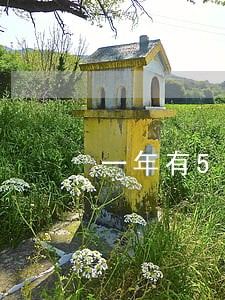 一年有5次信用卡逾期严重吗 一年有5次信用卡逾期严重吗