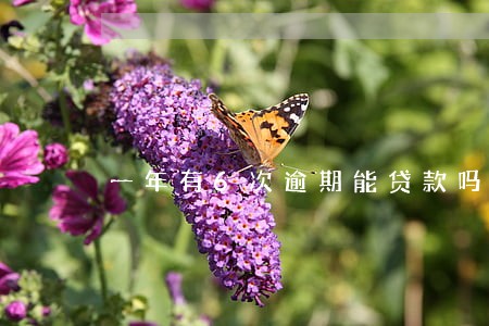 一年有6次逾期能贷款吗 一年有6次逾期能贷款吗