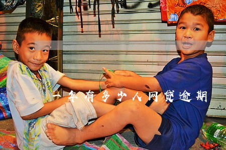 一年有多少人网贷逾期 一年有多少人网贷逾期