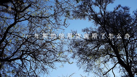 一年期的信用贷逾期了怎么办