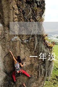 一年没有逾期能贷款吗 一年没有逾期能贷款吗