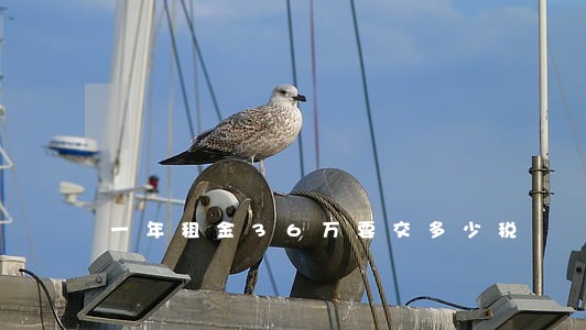 一年租金36万要交多少税 一年租金36万要交多少税