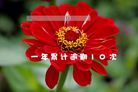 一年累计逾期10次 一年累计逾期10次