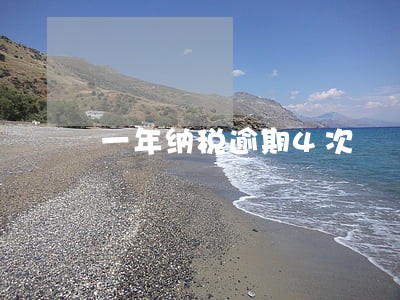 一年纳税逾期4次 一年纳税逾期4次
