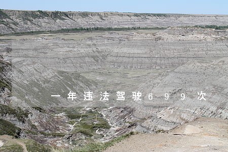 一年违法驾驶699次 一年违法驾驶699次