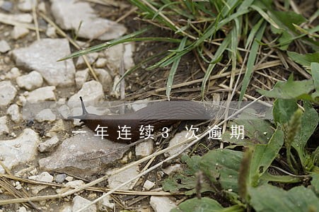 一年连续3次逾期 一年连续3次逾期