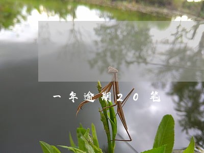 一年逾期20笔 一年逾期20笔