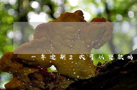 一年逾期2次可以贷款吗 一年逾期2次可以贷款吗