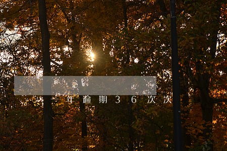 一年逾期36次次 一年逾期36次次