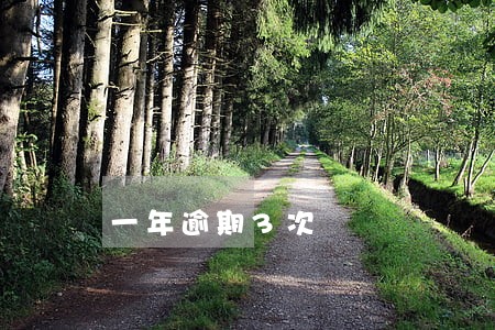 一年逾期3次 一年逾期3次