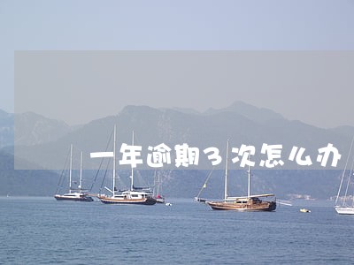 一年逾期3次怎么办 一年逾期3次怎么办