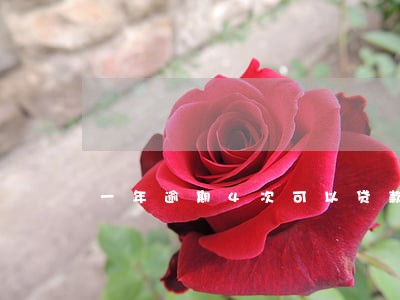 一年逾期4次可以贷款吗 一年逾期4次可以贷款吗