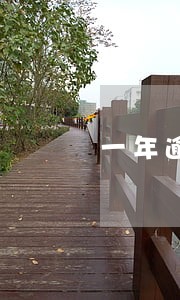 一年逾期5次 一年逾期5次