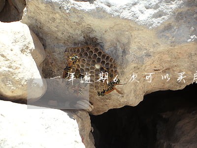 一年逾期6次可以买房吗 一年逾期6次可以买房吗