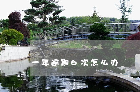 一年逾期6次怎么办 一年逾期6次怎么办