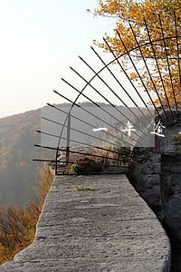 一年逾期7次最高3 一年逾期7次最高3