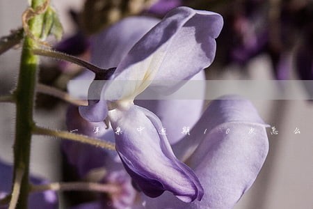 一年集中逾期10次怎么办 一年集中逾期10次怎么办