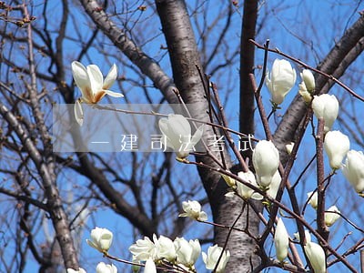 一建司法考试 一建司法考试