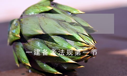 一建备考法规第一节 一建备考法规第一节