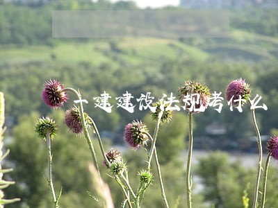 一建建设法规考什么