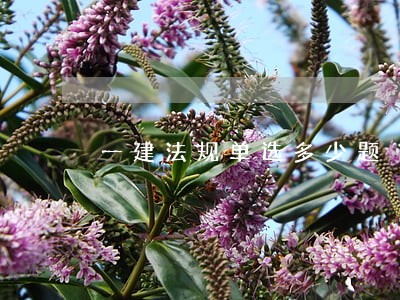 一建法规单选多少题 一建法规单选多少题