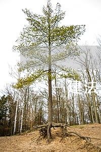 一建法规听过精讲做真题77分 一建法规听过精讲做真题77分