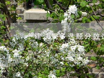 一建法规多选题分数选一个几分 一建法规多选题分数选一个几分
