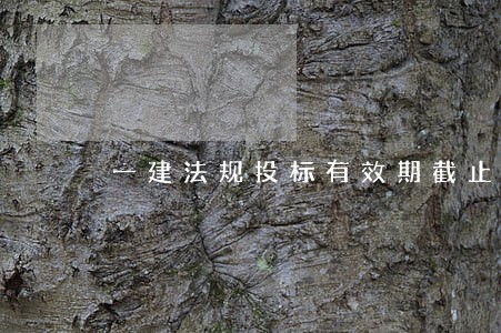 一建法规投标有效期截止时间 一建法规投标有效期截止时间